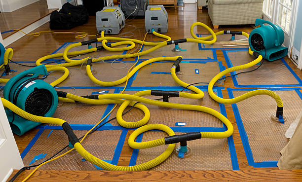 Professional Crawl Space Water Removal technician working in Blue Ridge, TX